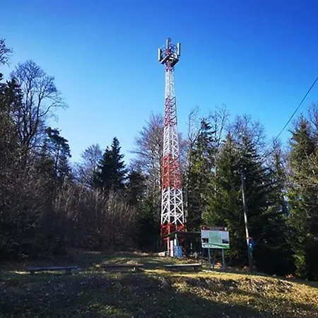 Tojzlov Vrh V Osrcju Narave Privatunterkunft