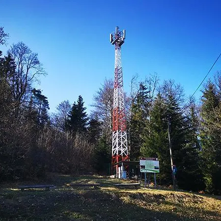 Tojzlov Vrh V Osrcju Narave Privatunterkunft